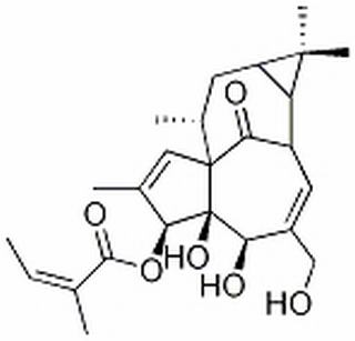 巨大戟醇-3-O-當歸酸酯 CAS：75567-37-2 中藥對照品標準品