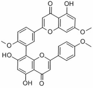 金松雙黃酮 CAS： 521-34-6 中藥對(duì)照品標(biāo)準(zhǔn)品