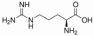 L-精氨酸 CAS：74-79-3 中藥對照品標準品