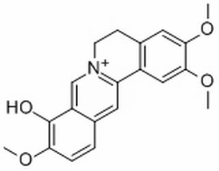 巴馬亭紅堿 CAS：16176-68-4 中藥對照品標(biāo)準(zhǔn)品