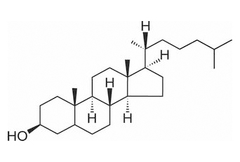 二氫膽固醇 CAS：80-97-7 中藥對照品標(biāo)準(zhǔn)品