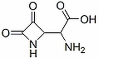  L-三七素 CAS: 5302-45-4 中藥對(duì)照品標(biāo)準(zhǔn)品