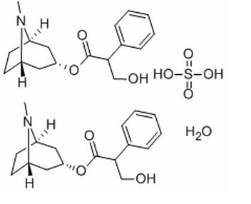 硫酸阿托品-水物 CAS：5908-99-6 中藥對(duì)照品標(biāo)準(zhǔn)品