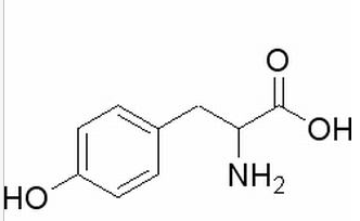  DL-酪氨酸 CAS：556-03-6 中藥對照品標(biāo)準(zhǔn)品