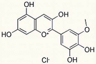 矮牽牛色素，CAS：1429-30-7，中藥對照品標(biāo)準(zhǔn)品