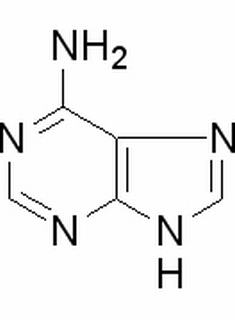 腺嘌呤 CAS：73-24-5 中藥對照品標(biāo)準(zhǔn)品