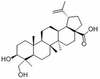 23-羥基白樺酸 CAS：85999-40-2 中藥對(duì)照品標(biāo)準(zhǔn)品