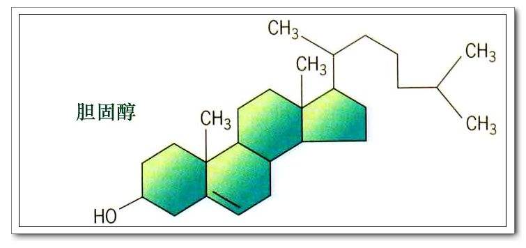 膽固醇化學式