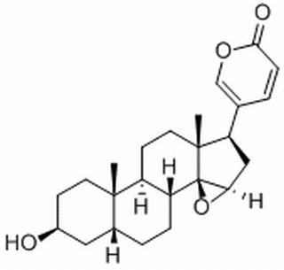 酯蟾毒配基 CAS:465-39-4 中藥對照品標(biāo)準(zhǔn)品