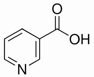 維生素B3  CAS:59-67-6