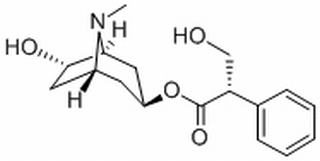 消旋山莨菪堿 CAS : 17659-49-3 中藥對(duì)照品標(biāo)準(zhǔn)品