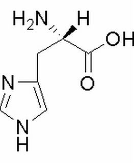 L-組氨酸 CAS : 71-00-1 中藥對(duì)照品標(biāo)準(zhǔn)品