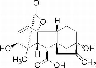 赤霉素GA3  CAS: 77-06-5 中藥對照品標(biāo)準(zhǔn)品