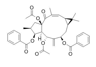 大戟因子L2（千金子素L2）CAS: 218916-51-9 中藥對照品標準品