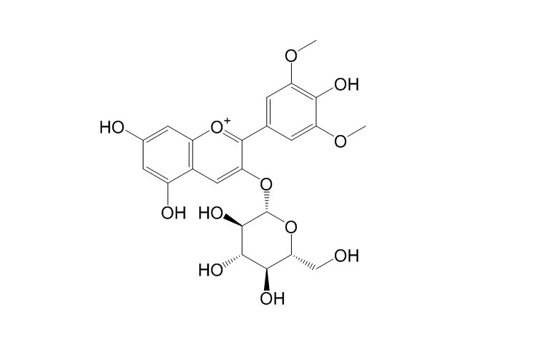 錦葵素-3-O-葡萄糖苷 CAS：18470-06-9 中藥對照品標準品