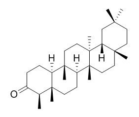 無羈萜，木栓酮 CAS號(hào)：559-74-0 對(duì)照品 標(biāo)準(zhǔn)品