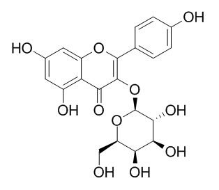 山奈酚-3-O-半乳糖苷（三葉豆苷） CAS號(hào)：23627-87-4