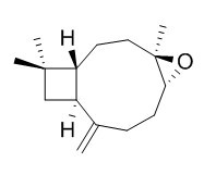 石竹素 CAS號(hào)：1139-30-6 對(duì)照品 標(biāo)準(zhǔn)品