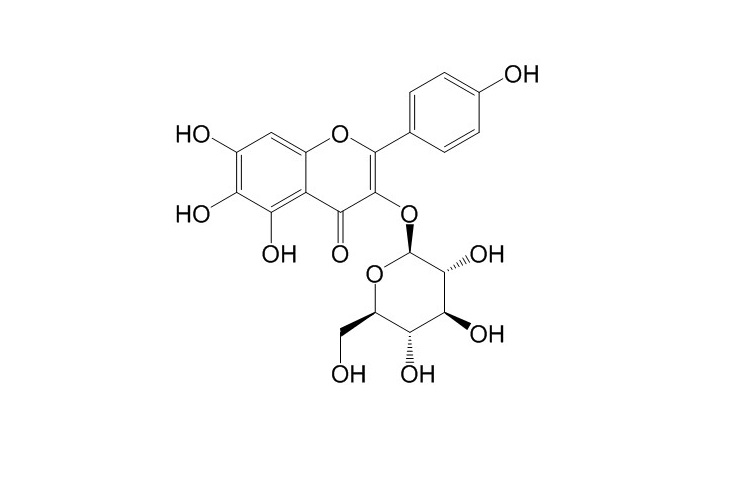 6-羥基山柰酚-3-O-β-D-葡萄糖苷 CAS號：145134-61-8 對照品標(biāo)準(zhǔn)品