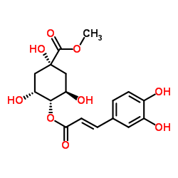 4-O-(E)-咖啡?；鼘幩峒柞?丨CAS No.123372-74-7