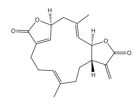 防風草內酯 | CAS No.3484-37-5