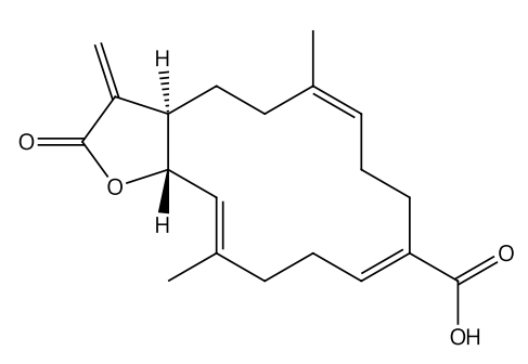 防風酸 | CAS No.59632-76-7