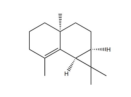 β-馬欖烯 | CAS No.489-29-2