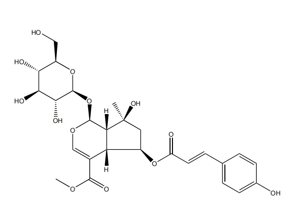 6-O-反式對香豆酰山梔苷甲酯 | CAS No.1246012-26-9